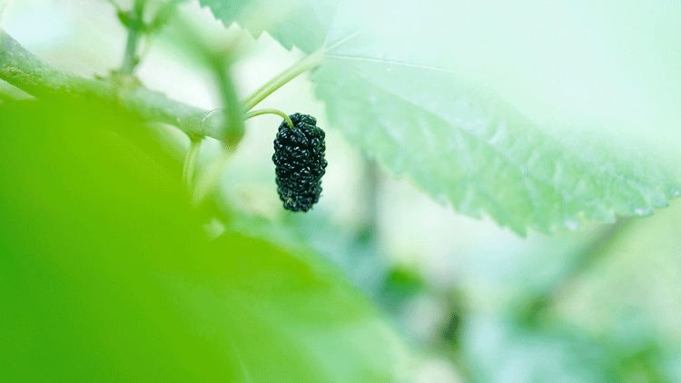 1588644932960980.png 微信圖片_20200505101033.png