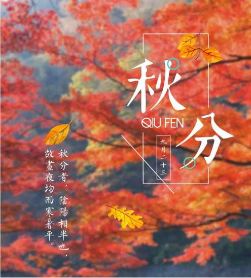 1695773864384900.png image.png